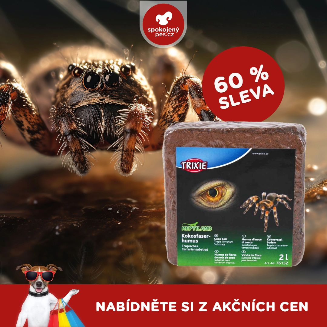 ostatni 40.webp